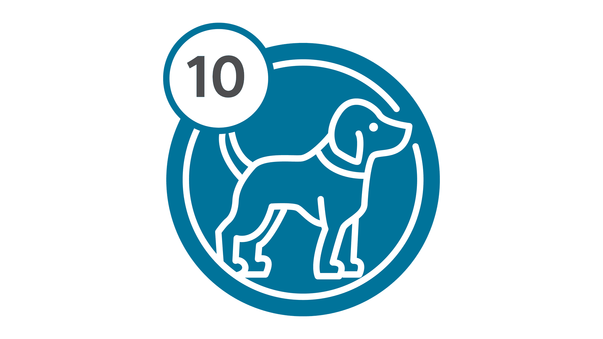 Route 10 - Puppy