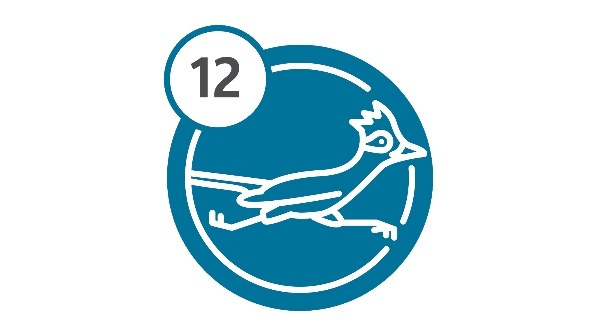 Route 12 - RoadRunner