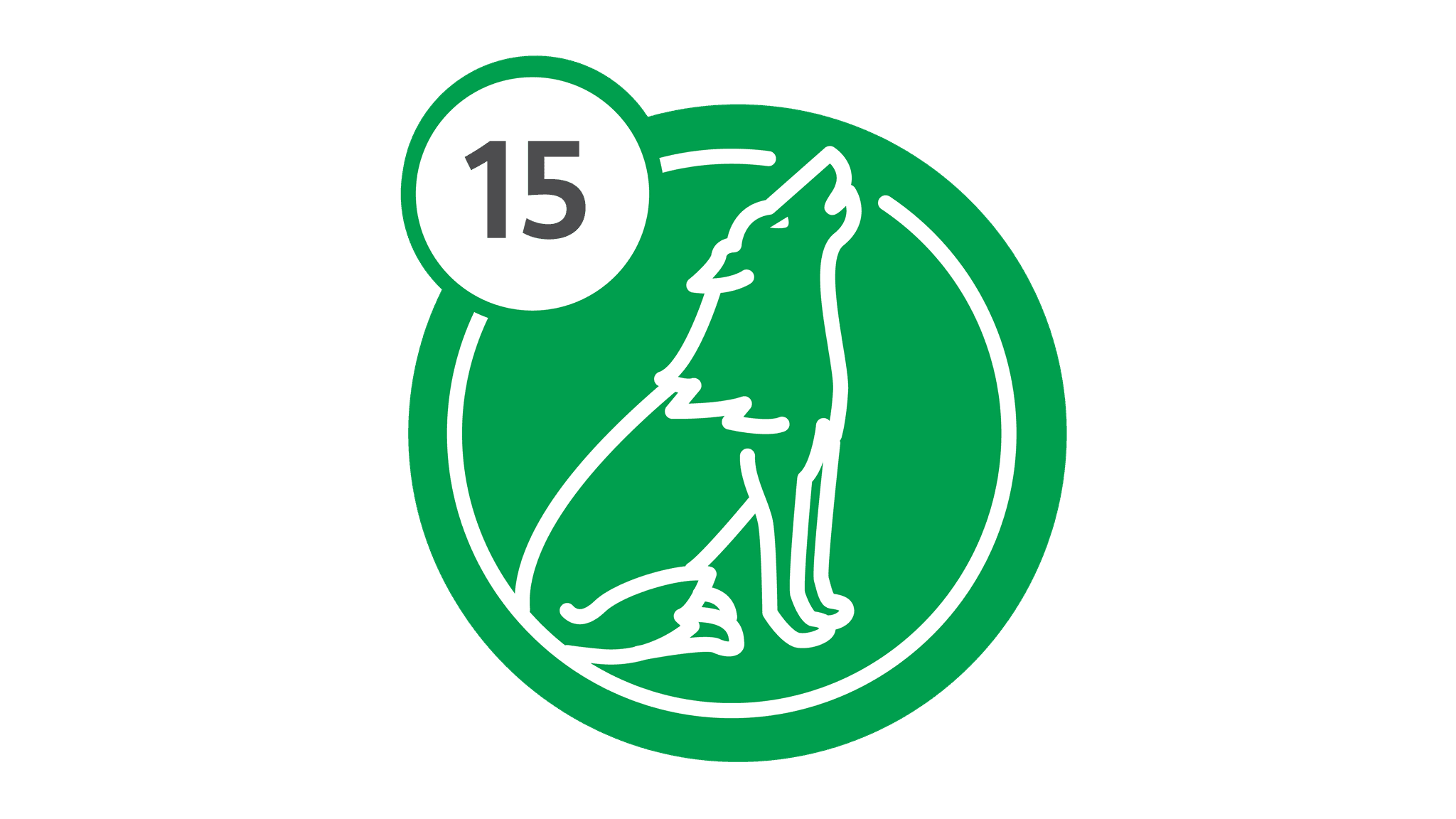 Route 15 - Wolf