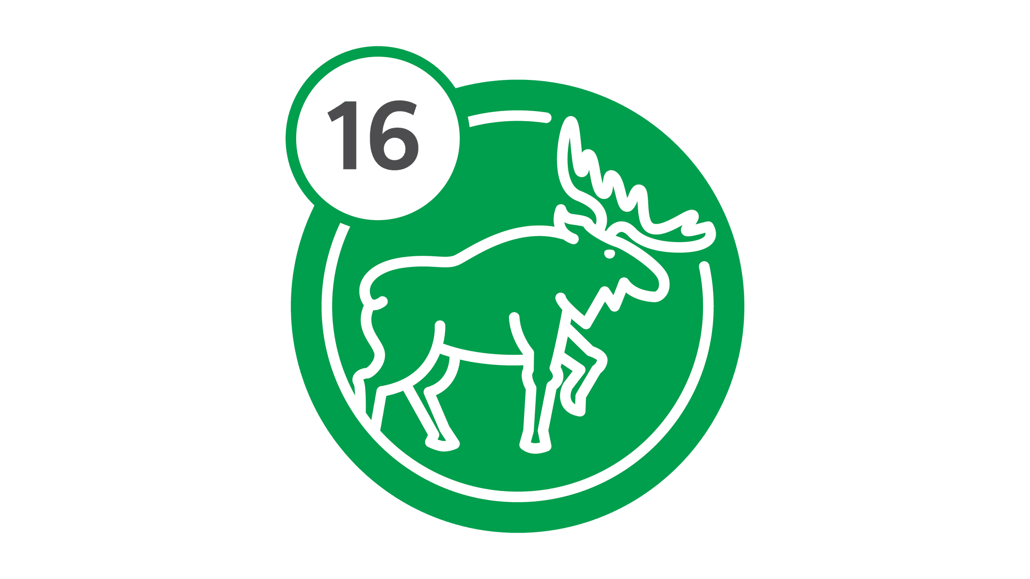 Route 16 - Moose