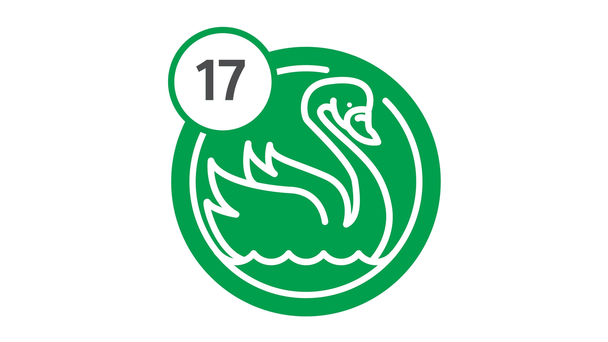 Route 17 - Swan