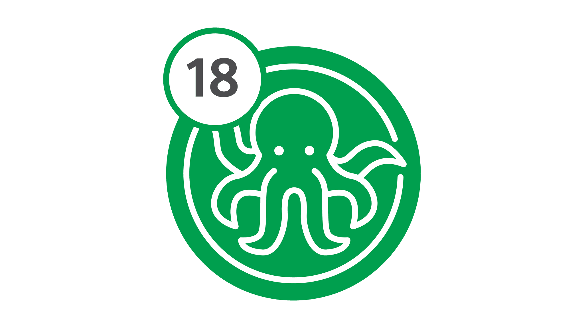 Route 18 - Octopus