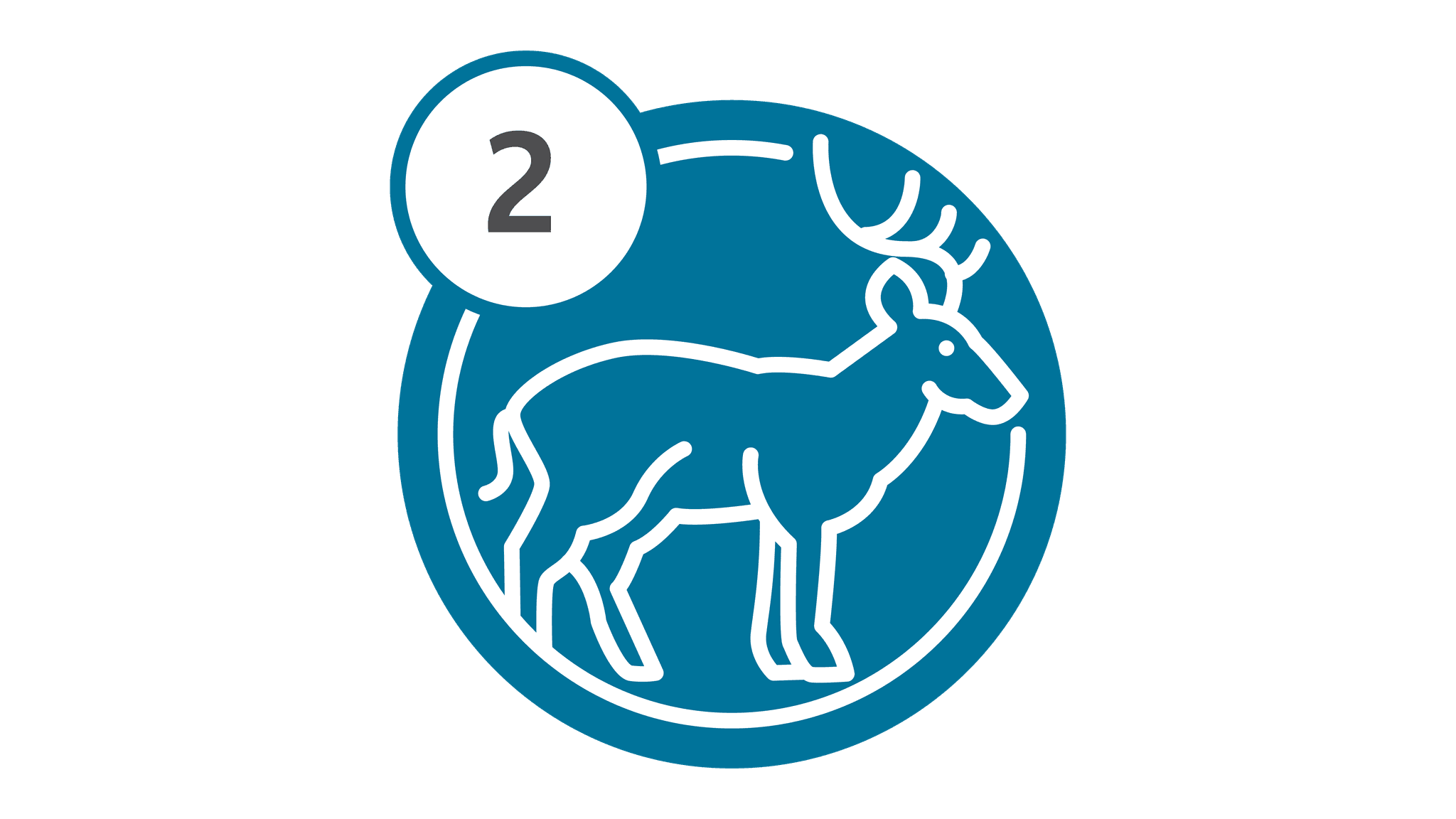 Route 2 - Deer