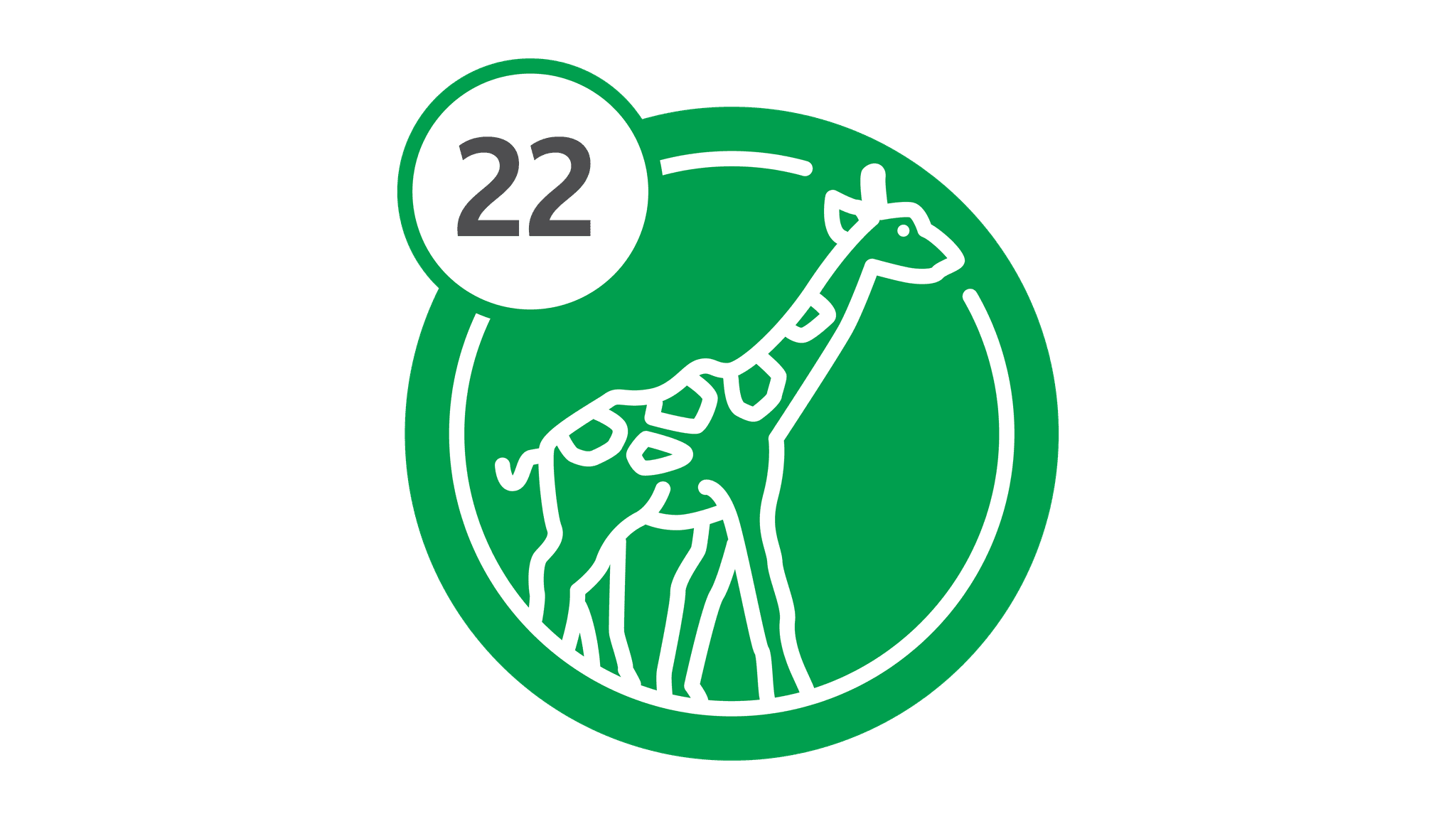 Route 22 - Giraffe