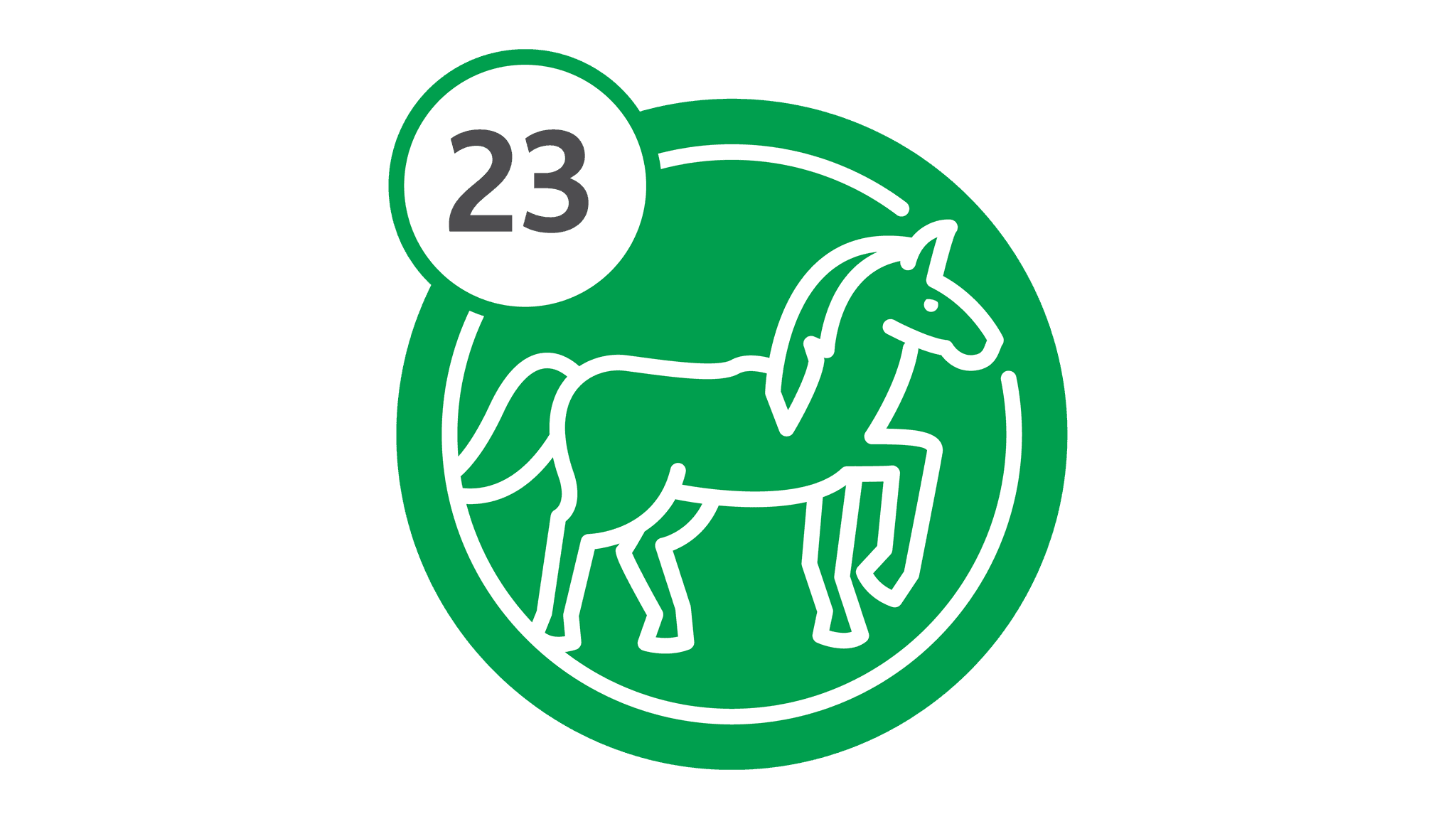 Route 23 - Horse