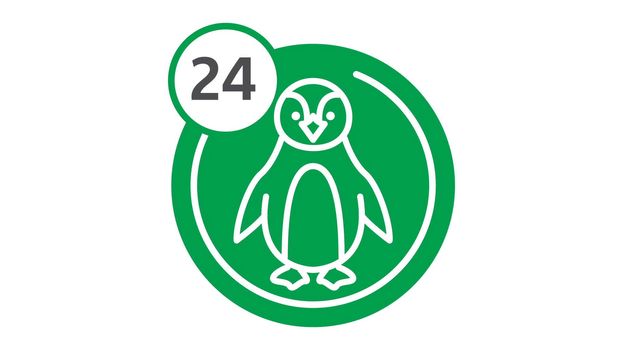 Route 24 - Penguin