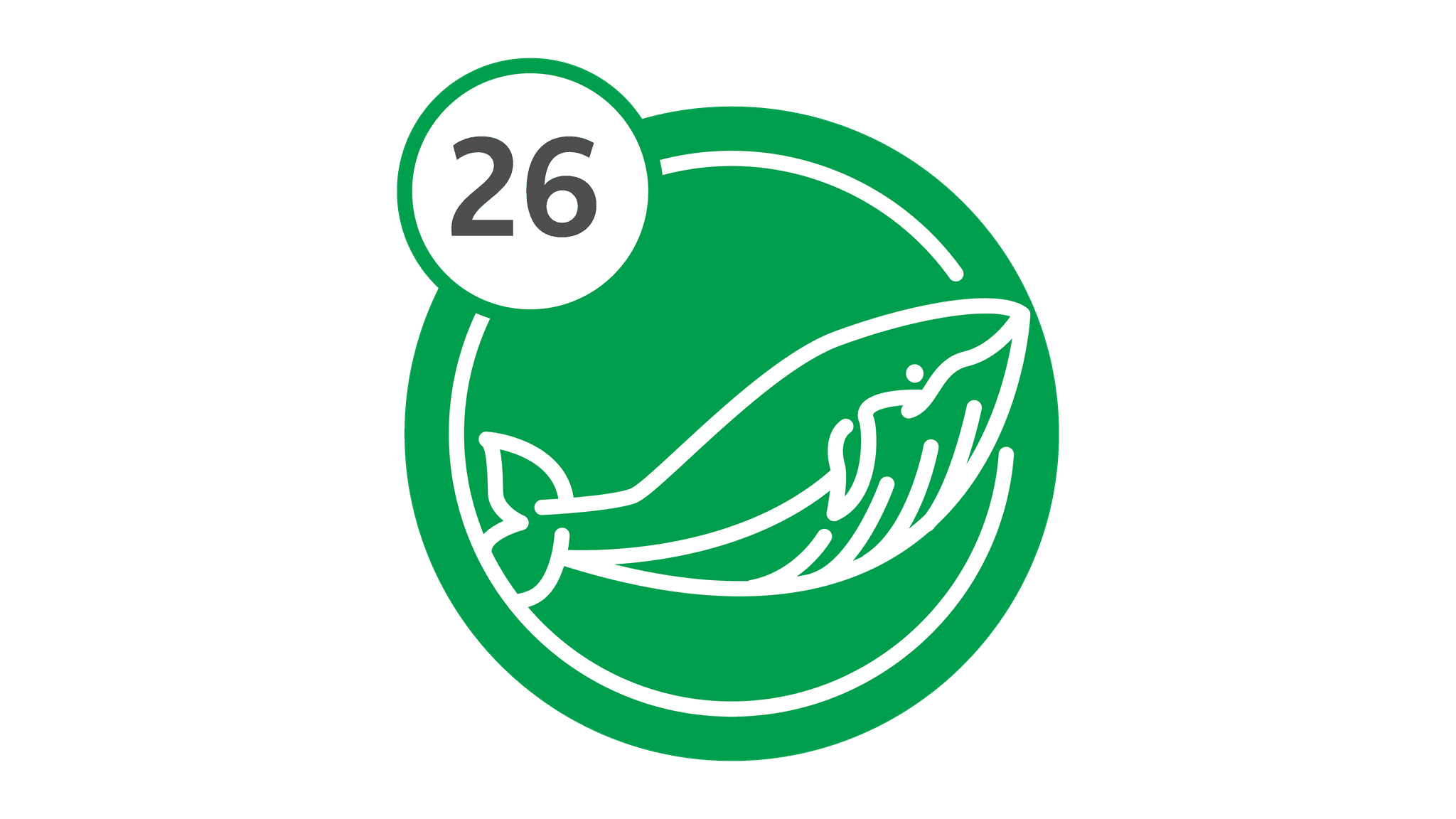 Route 26 - Whale