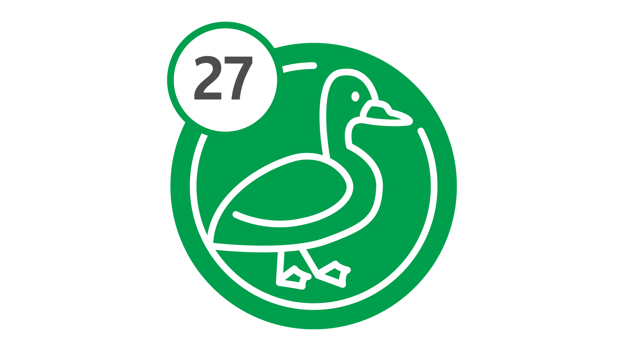 Route 27 - Duck