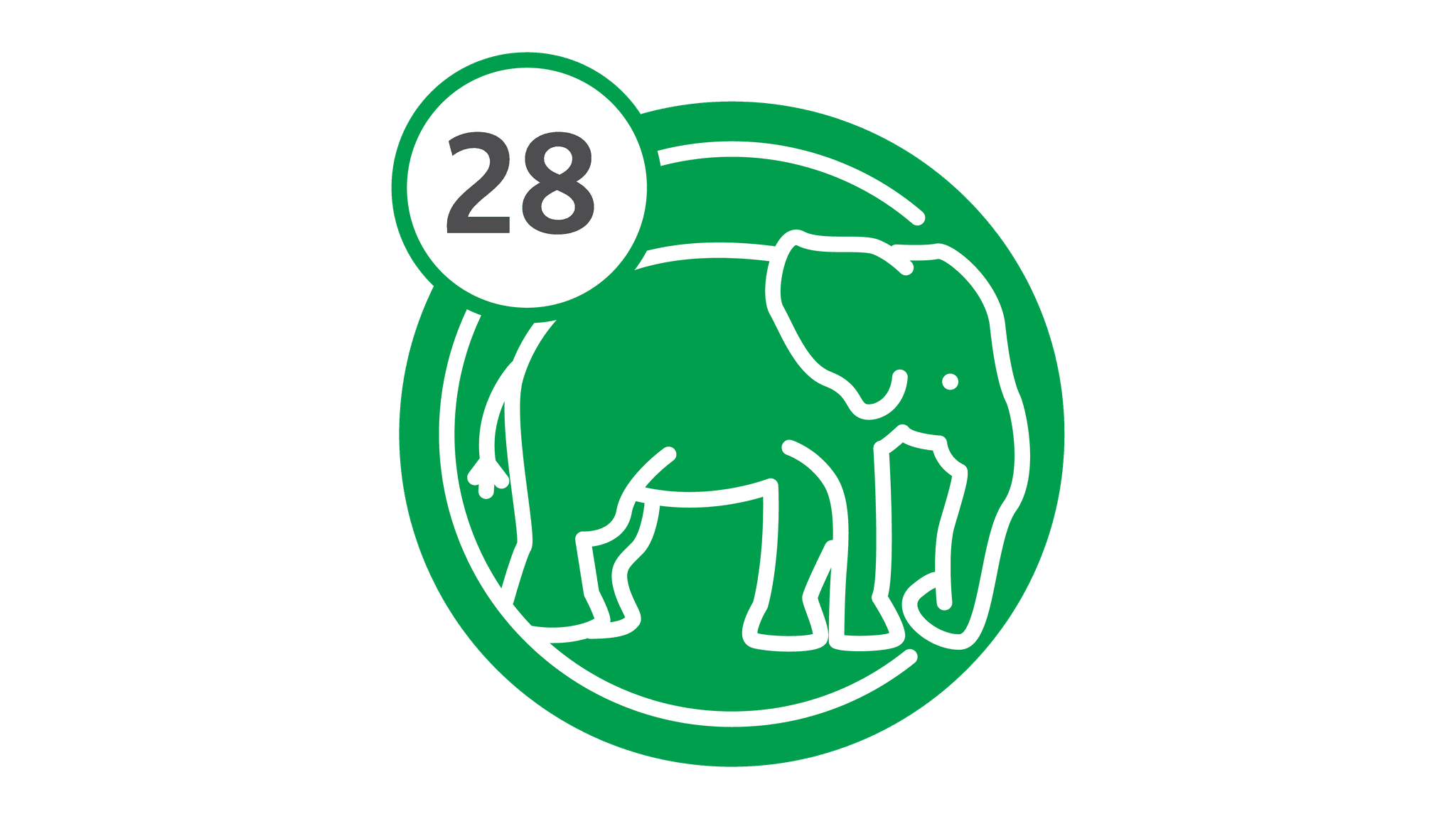 Route 28 - Elephant