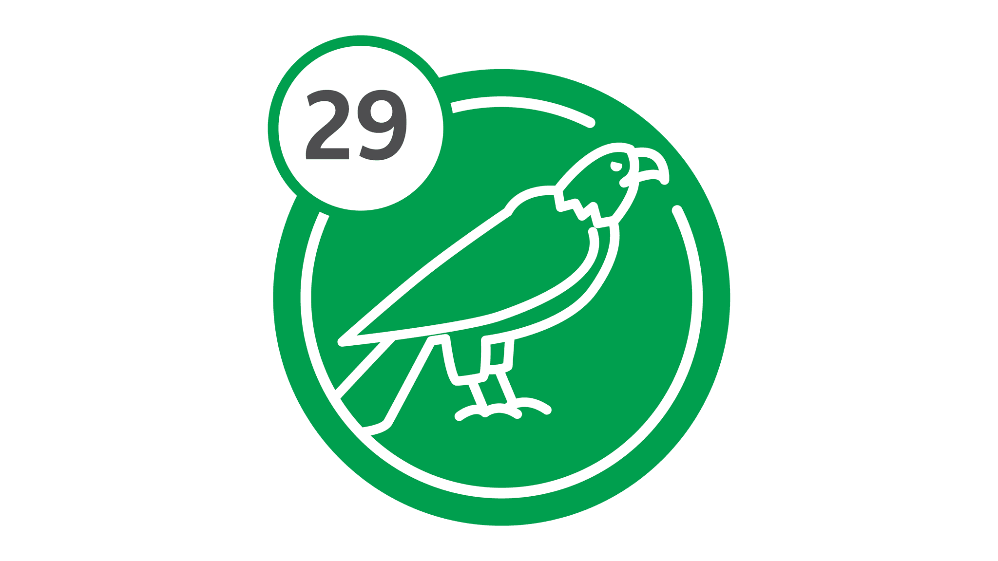 Route 29 - Eagle