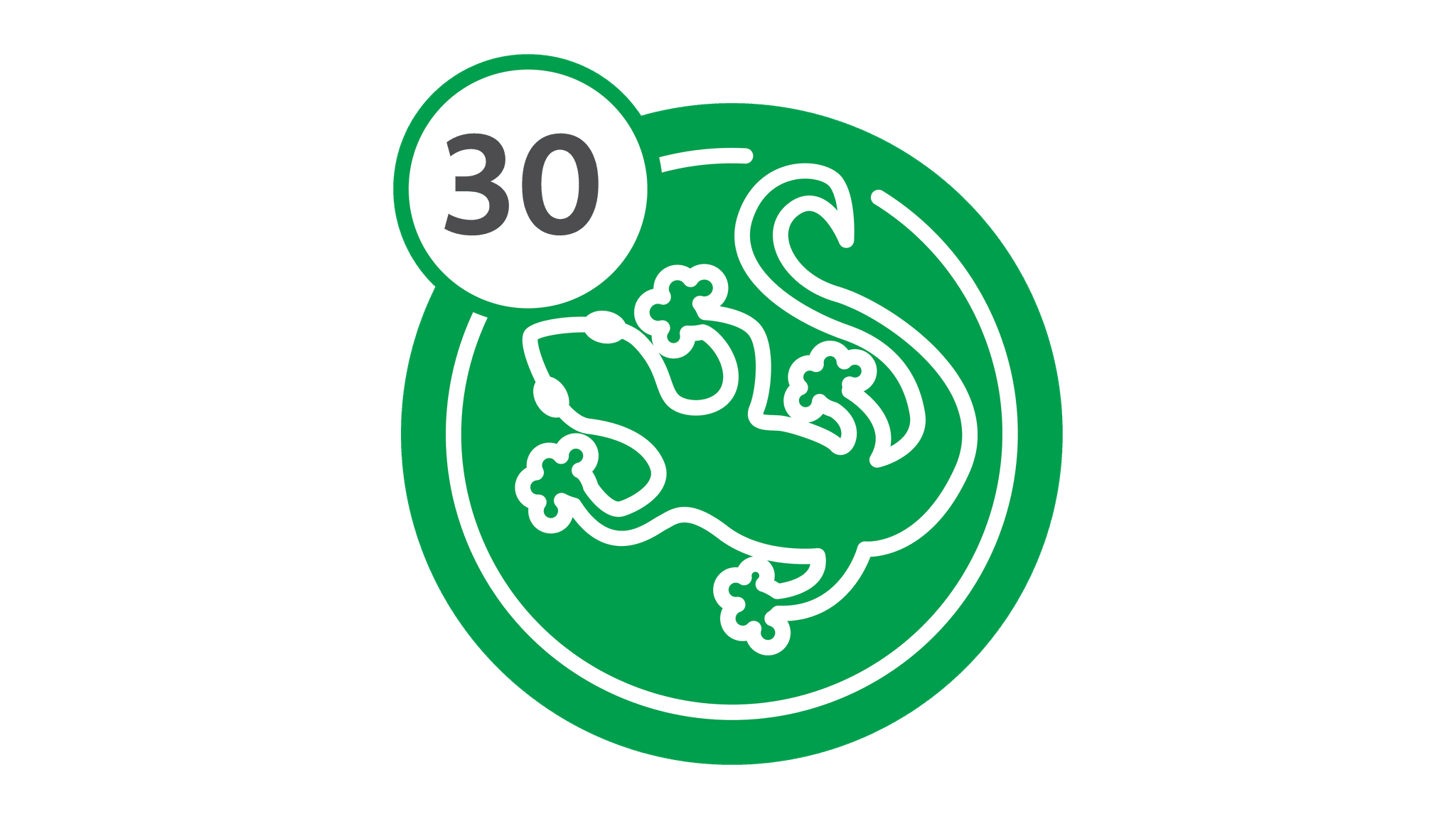Route 30 - Lizard