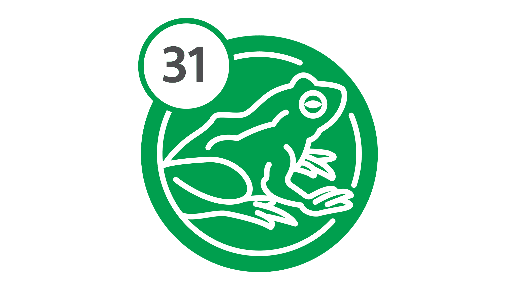 Route 31 - Frog
