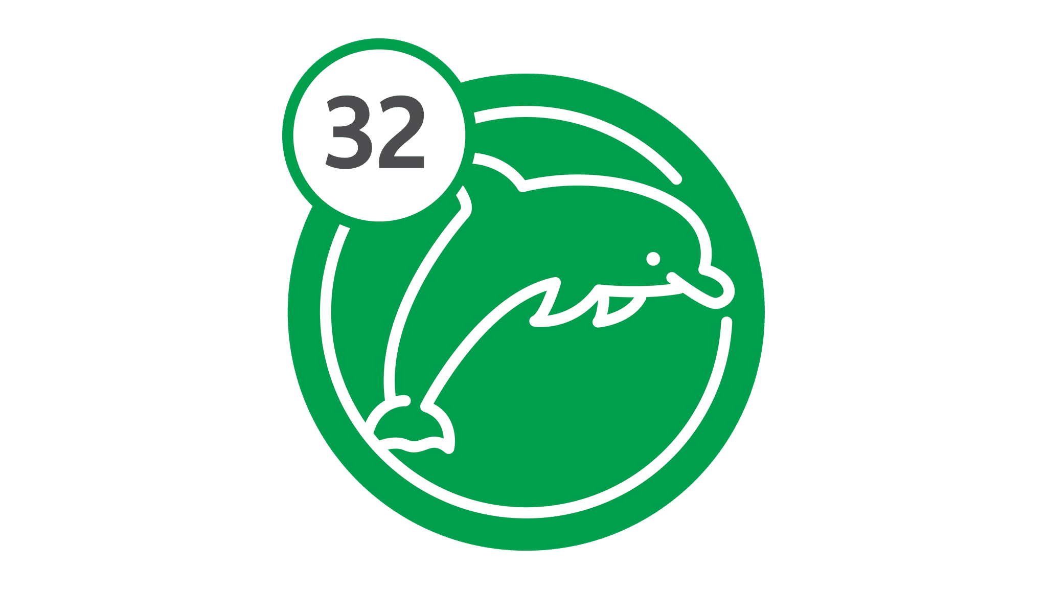 Route 32 - Dolphin