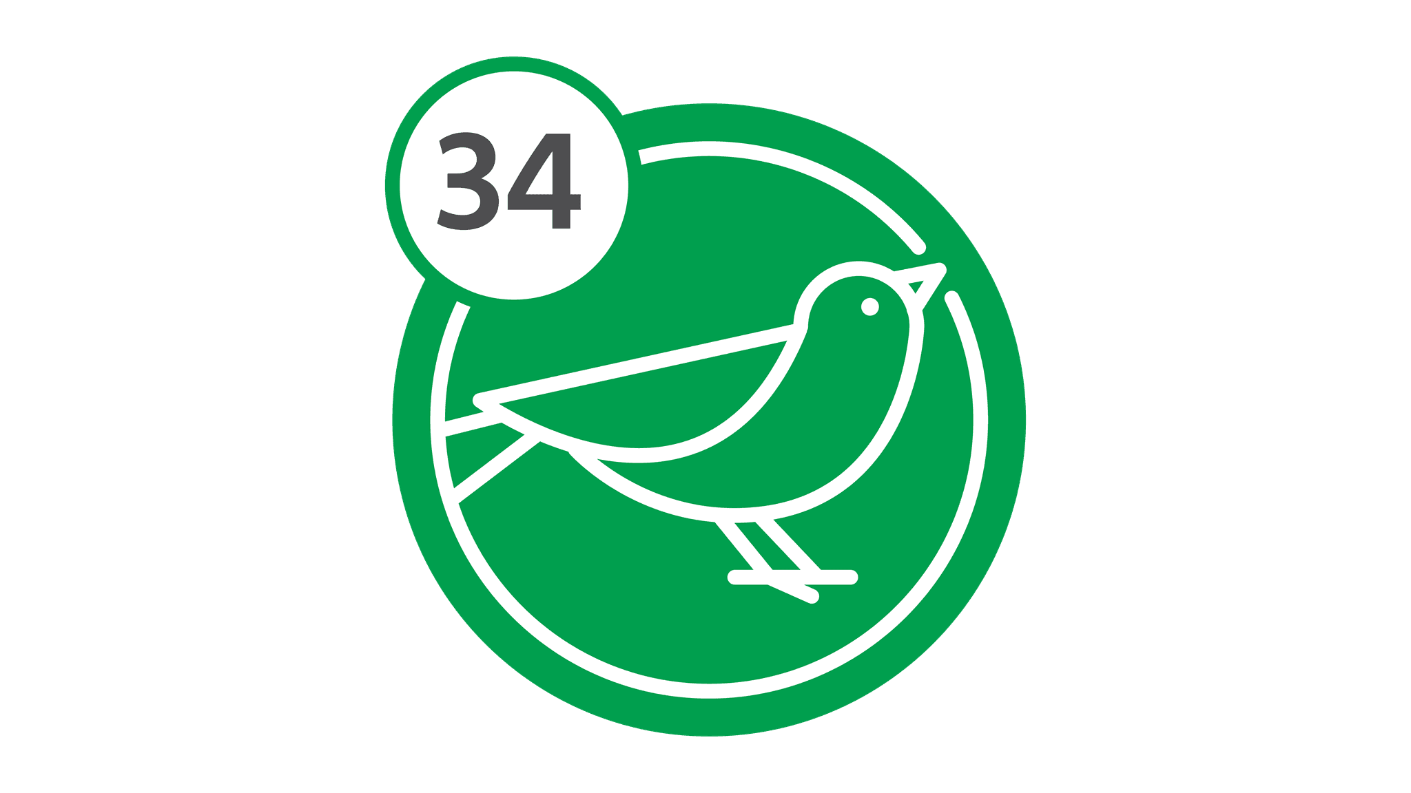 Route 34 - Bird