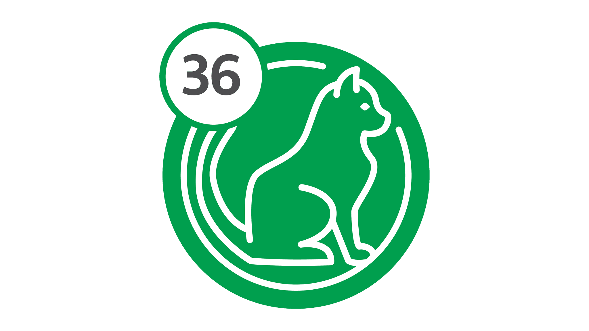 Route 36 - Cat