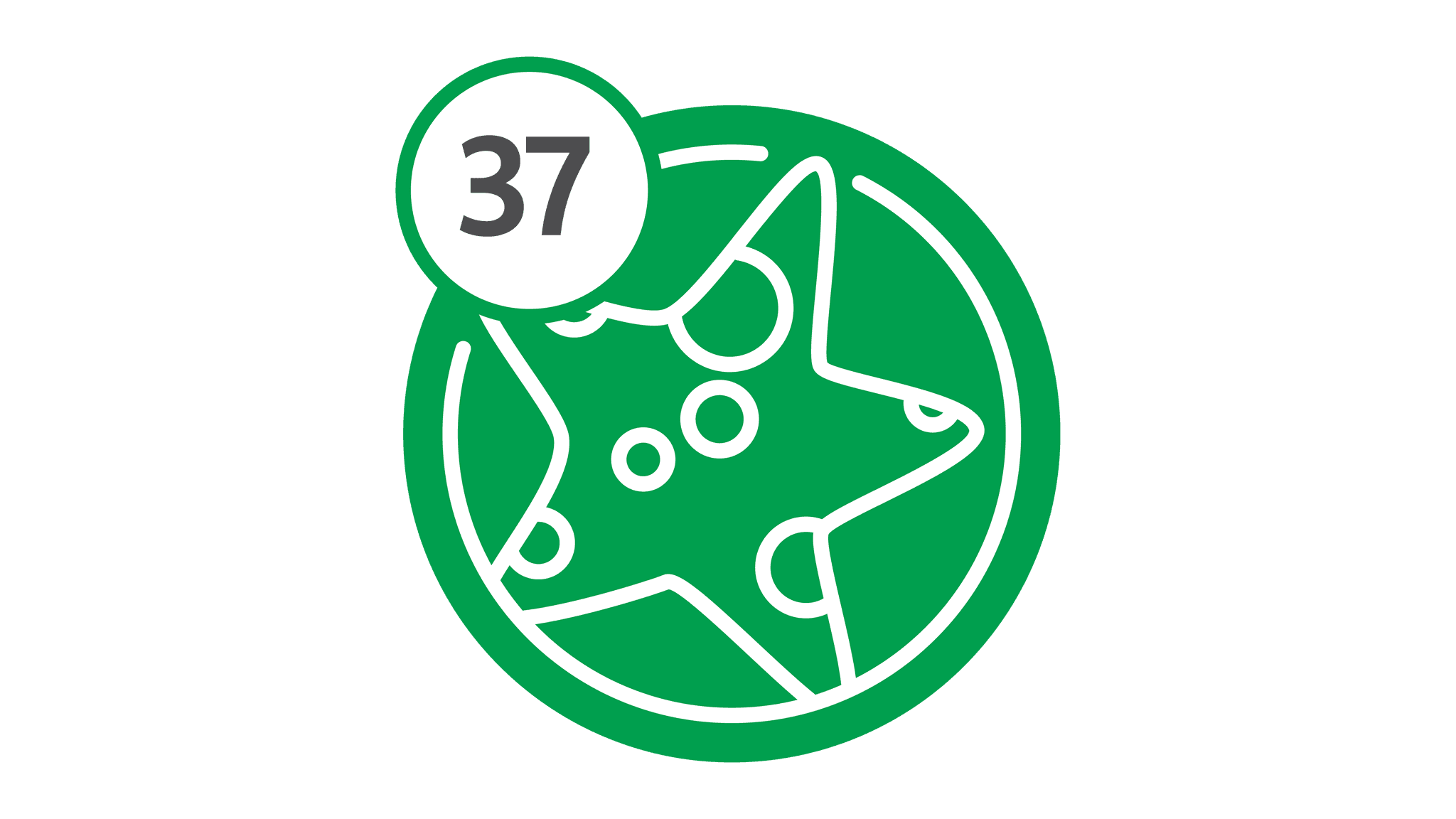Route 37 - Starfish