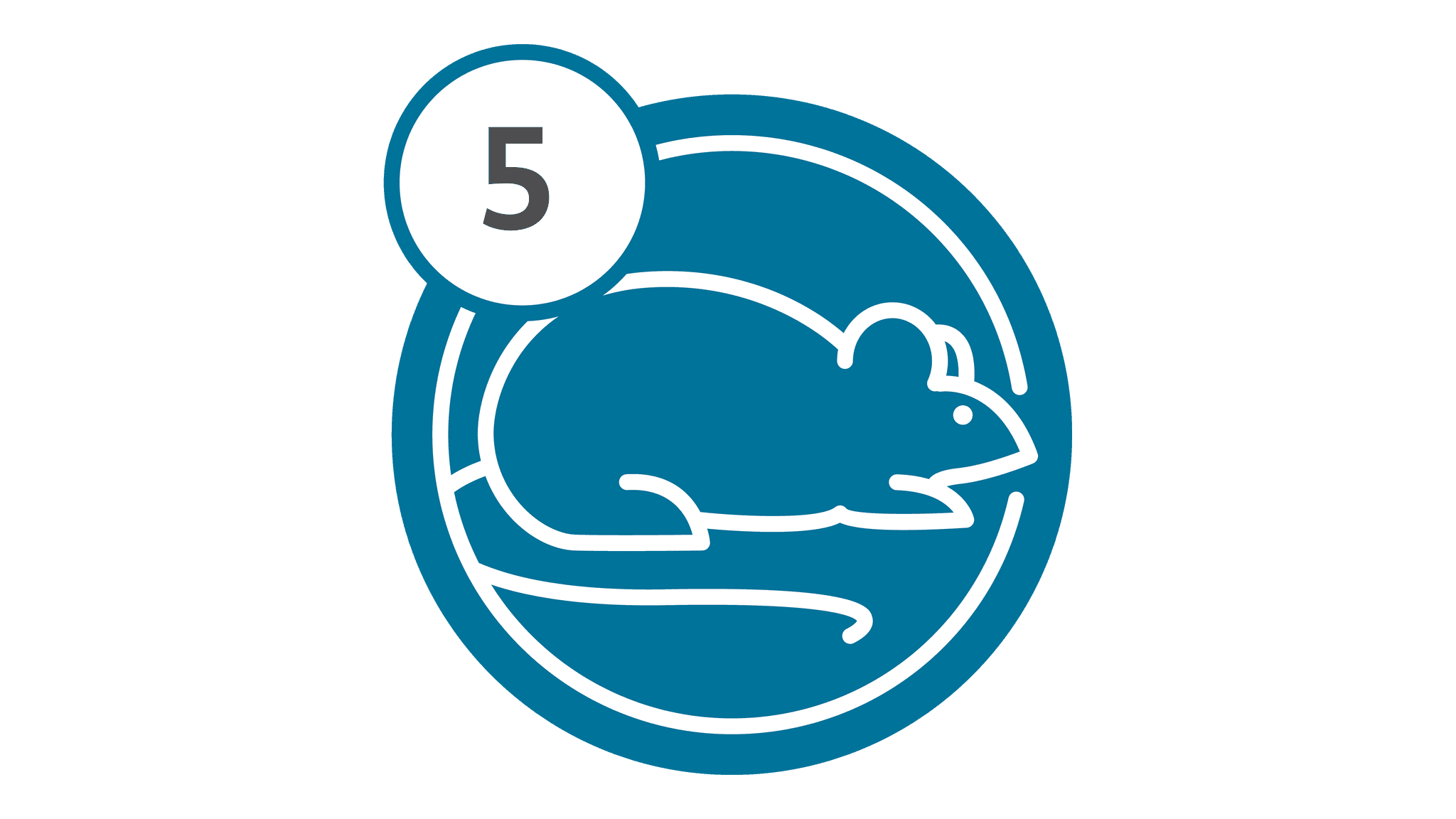 Route 5 - Mouse