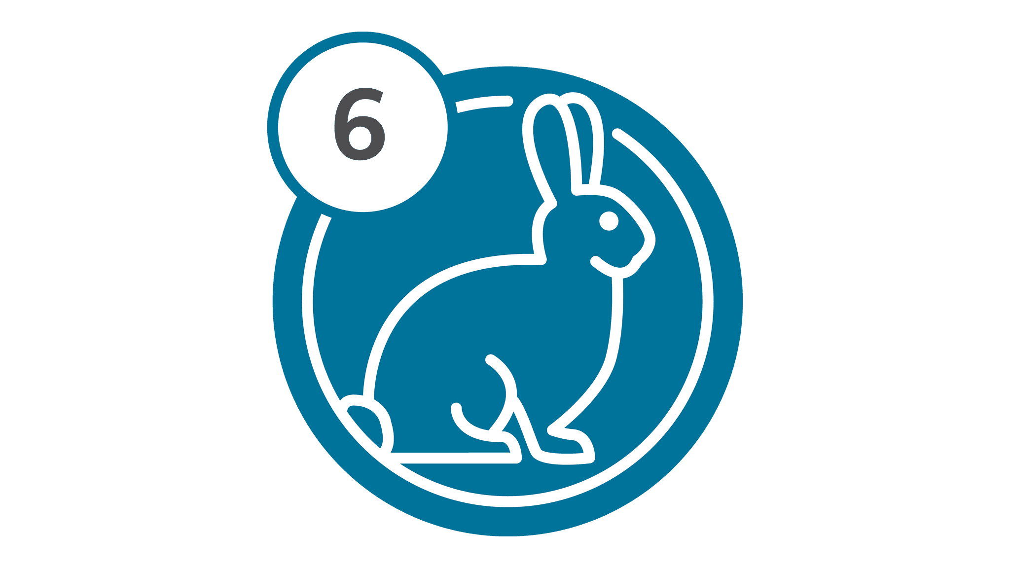 Route 6 - Rabbit
