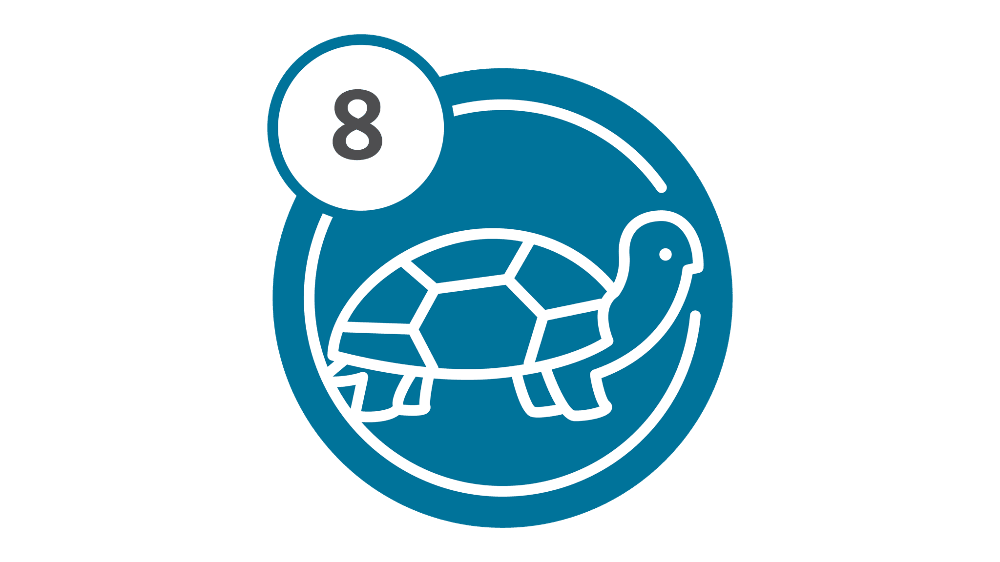 Route 8 - Turtle