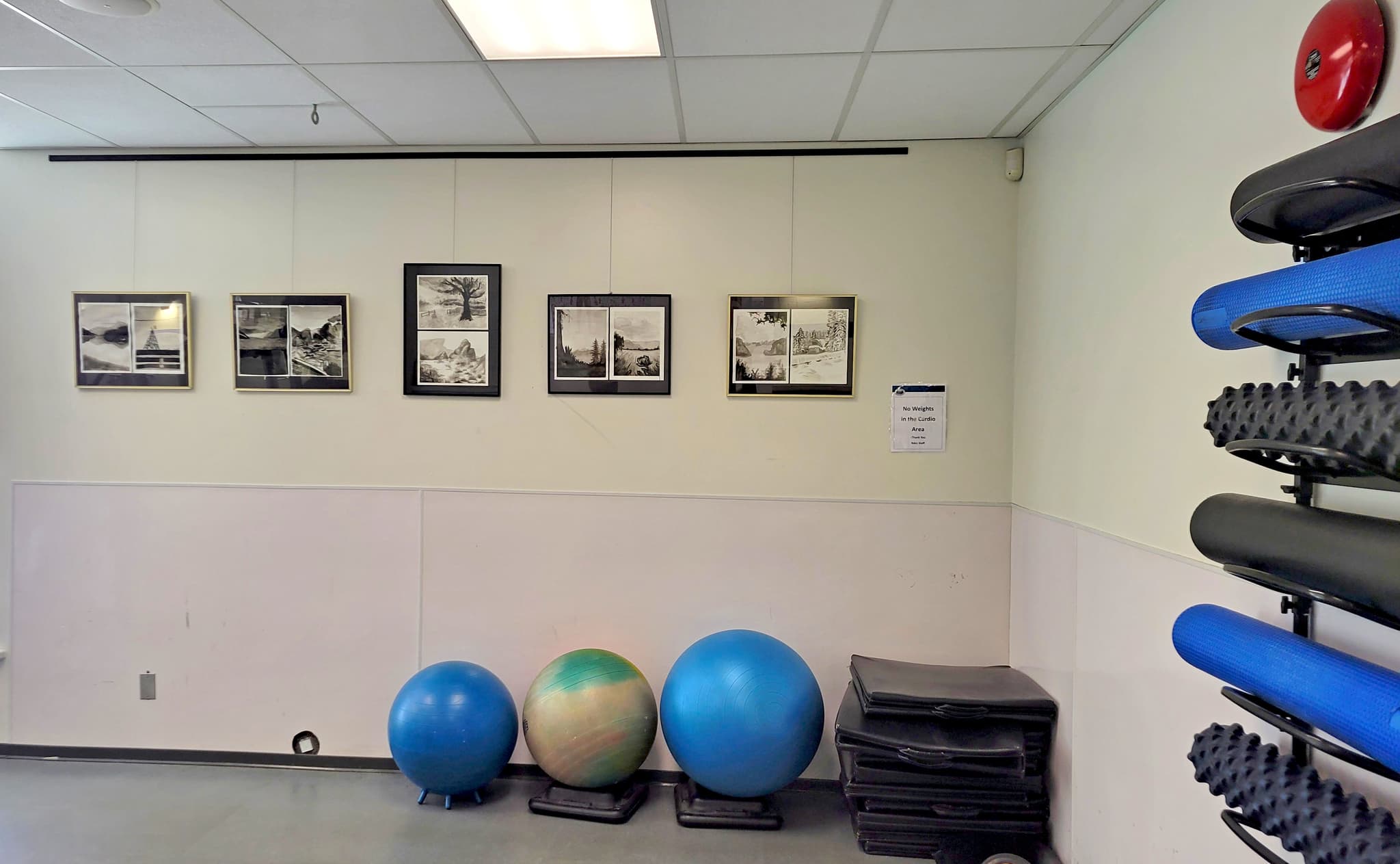 A fitness centre with rolled up mats along a wall on the right along with blue and tan fitness balls of various sizes on the back wall above which are hanging ink paintings in black frames against a white wall.