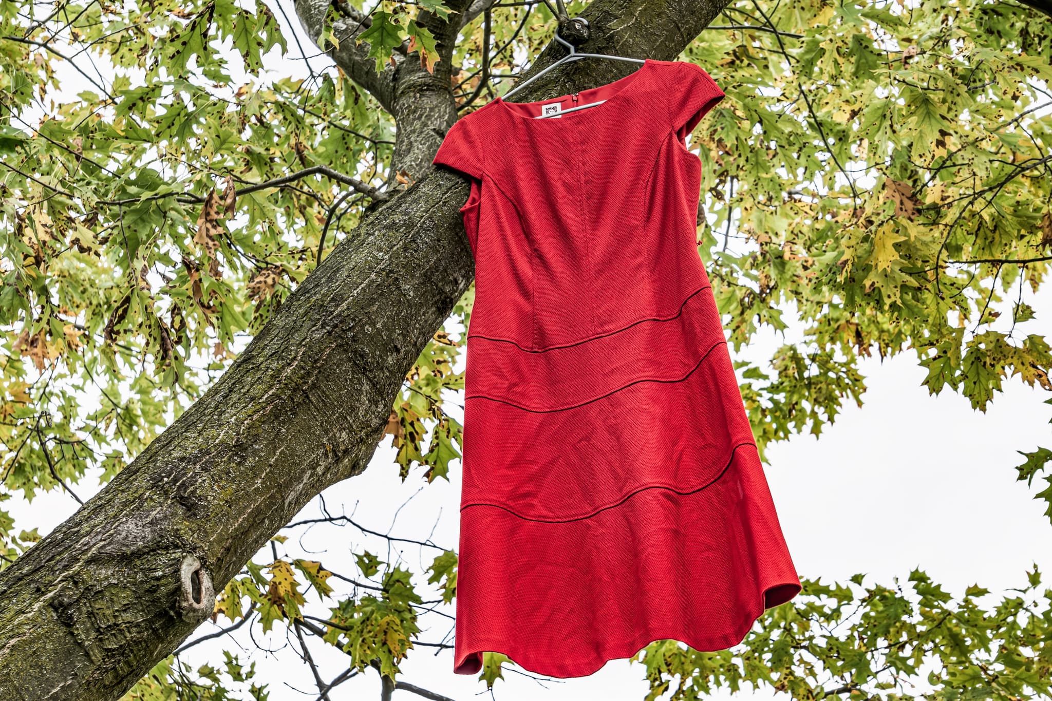A short-sleeved red dress hanging on hanger in an oak tree